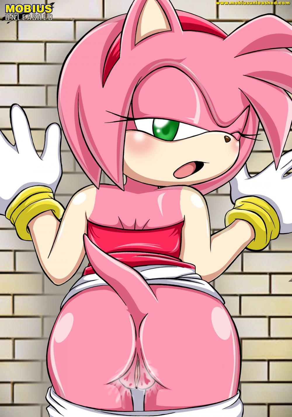 Amy rose naked funking with sonic