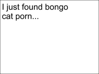 Rabbit reccomend bongo cat