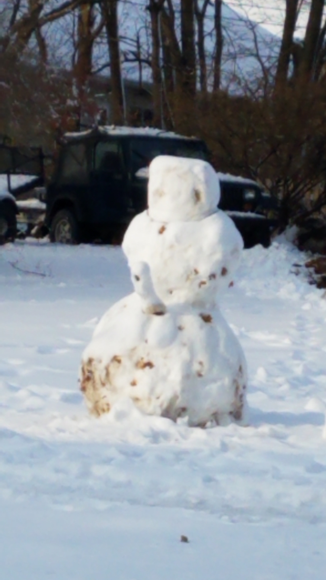 Subzero reccomend snow man